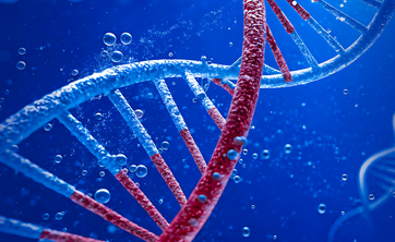 Dzień Nauki Polskiej