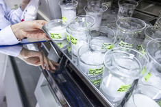 Dr hab. inż. Małgorzata Kida, prof. PRz kierownikiem projektu w ramach programu Narodowego Centrum Nauki OPUS 29